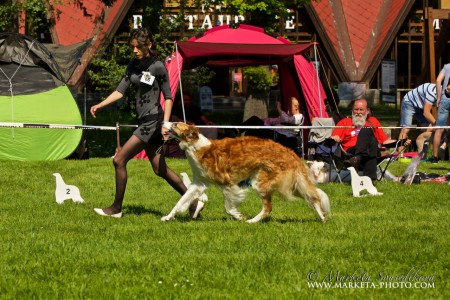 CH.Flying Saphira Mischenka